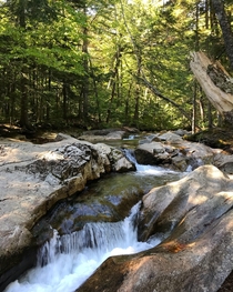 I could stay here all summer long Franconia Notch New Hampshire 
