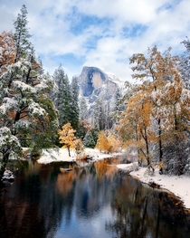 I drove for  hours round trip to capture fresh snow and fall colors in Yosemite National Park in California 