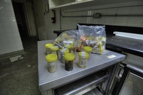 I Found Human Biological Specimens in a Refrigerator in the Morgue of the Abandoned St Catharnies General Hospital 