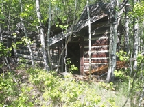 I found this abandoned log cabin at the end of an overgrown road 