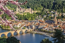 I lost my heart to Heidelberg living and studying here Baden-Wrttemberg Germany