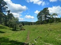 I love the area where I live - Old Baldy Trail in the Black Hills of South Dakota 