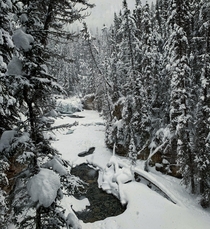 I love Winter Johnston Canyon - Banff National Park Canada 