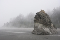 I took k pics in my trip to the PNW last summer this was my favorite one Ruby Beach WA 