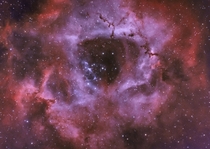 I took this image of the Rosette Nebula from my backyard