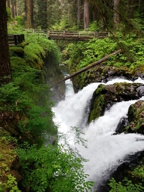 I visited the Olympic Peninsula Washington Here is a shot of Sol Duc Falls 