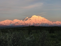 I was hoping to at least get a glimpse of the mountain during my stay but sometimes you get really really lucky Alpenglow on the Tall One in Denali National Park Alaska 