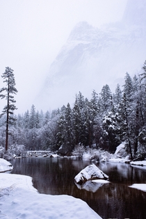 I went to Yosemite during the winter storm two weeks ago and decided to take a hike in the middle of it 