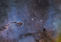 IC   Elephants Trunk Nebula in SHO taken over the last week