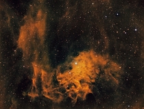 IC-Flaming Star Nebula 