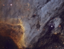 IC - The Pelican Nebula 