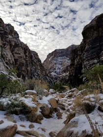 Ice Box Canyon in Red Rock Canyon NV x