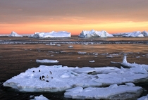 Ice Drift Antartica 