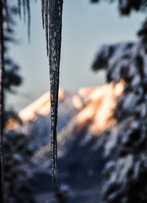 Icicles Over Sunlit Mountains in Canmore Alberta OCx