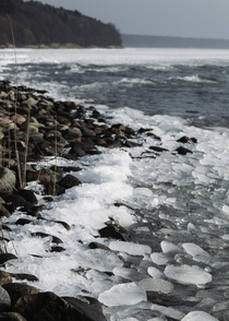 Icy shoreline Svalns Sweden 