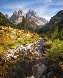 Idyllic is a word I rarely use but seemed appropriate here Grand Teton National Park Wyoming natureprofessor