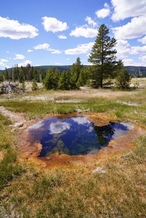 If Yellowstone could speak it would say get off my lawn OC 