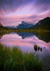 If youve been to this spot in the summer to take pictures you know how bad the mosquitos can get Banff Alberta 