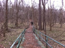 IL Abandoned Girl Scout Camp - The Bridge  x