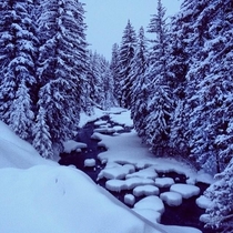 Im a Gondola Operator at Vail and this is the creek running through the town Gore Creek Vail Colorado  by Tyler Rondeau