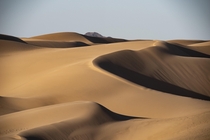Imperial Sand Dunes Yuma Arizona 
