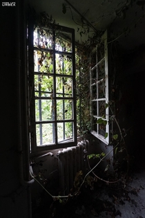 In an overgrown castle in France