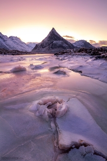In Lofoten Norway at dawn the sky has a pink hue I noticed this formation on a forzen lake which I thought looked like a rose 