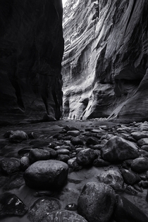 In the canyon depths of Zion National Park Utah 