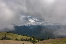 In the clouds at Hurricane Ridge Olympic National Park 