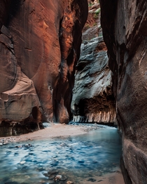 In the Narrows of Zion National Park Utah 