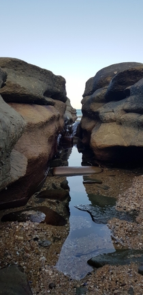 In the rocks of Point Cartwright Buddina QLD Australia 
