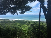 In the Trees of Puntarenas Province CR 