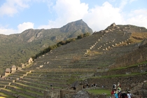 Incan farming terraces Machu Picchu 