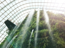 Indoor waterfall at Cloud Forest - Gardens by the Bay Singapore 