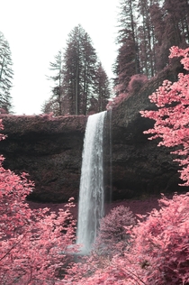 Infrared photo of one of the many beautiful waterfalls at Silver Falls Oregon OC x IG seanrvalentine