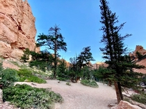 Inside Bryce Canyon Utah 