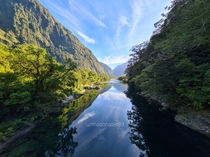 Inspired by the Milford Sound pic heres Milford Track Fiordlands New Zealand 