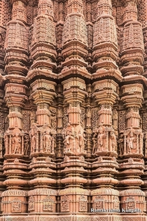 Intricate carved wall of the Udayeshwar Mahadev Temple Udaipur Madhya Pradesh BharatIndia