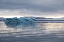Is it me or does this iceberg look like an alligator Qaanaaq Thule Region Greenland 