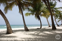 Isla Saona Dominican Republic 