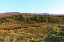 It always has a very African plains feel up here during summer Wicklow Mountains Ireland 