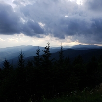 It looks fake but its  real Clingmans Dome Great Smokey Mountains Tennessee 