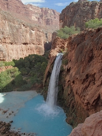 Its amazing what youll find in the middle of the Grand Canyon Havasu Falls AZ 