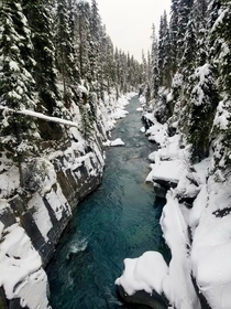 Its currently a winter wonderland in Kootenay National Park 
