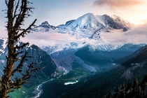 Its hard to comprehend how big Mount Rainier really is Washington USA 