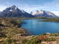 Its Spring in Patagonia Torres Del Pain National Park 