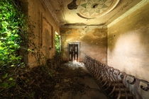 Ivy plants entering an old decaying abandoned Italian villa 