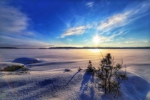 January cold noon Lake Nsijrvi Finland 