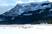 January in the Beartooth Mountains Montana 