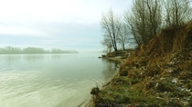 January morning by the river Danube Bratislava Slovak republic x